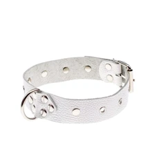 Ошейник Dominant Collar, white: Производитель sLash