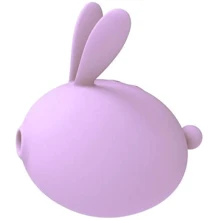 Вакуумный стимулятор с вибрацией KisToy Miss KK Purple: Для кого Для женщин