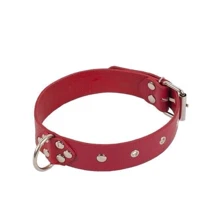 Ошейник Dominant Collar, red: Производитель sLash