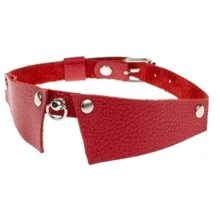 Нашийник Strict Style, Red: Виробник sLash