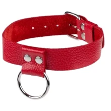 Ошейник Ring of Humiliti Red: Производитель sLash