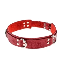 Ошейник Slave leather collar, red: Производитель sLash