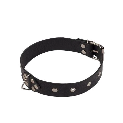 Ошейник Leather Restraints Collar, black