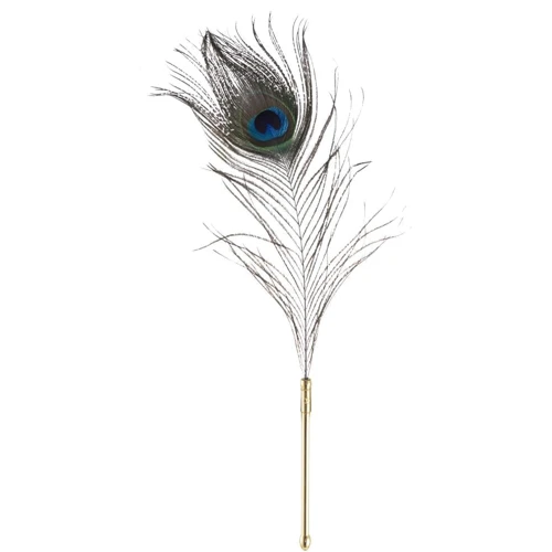 Набор перышек для ласк LOCKINK Sevanda Natural Peacock Flirting Feather Tickler фото 4