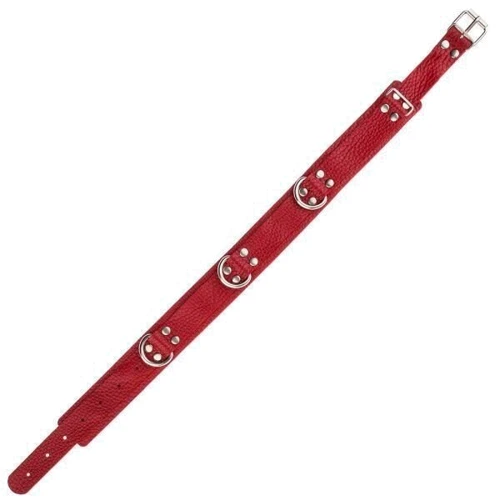 Ошейник Slave leather collar, red: Производитель sLash