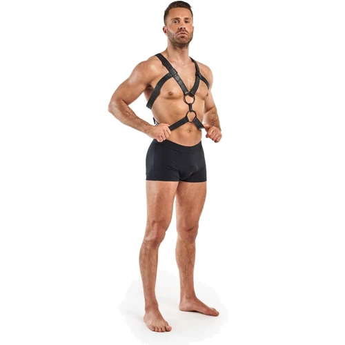 Портупея Bedroom Fantasies Rocco Masculine Masterpiece - Black: Материал Эко-кожа