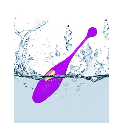 Віброяйце з пультом NDS 886-2 Purple (22583): Тип і форма Виброяйцо