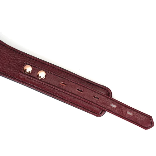 Ошейник с поводком Liebe Seele Wine Red Curved Collar фото 5