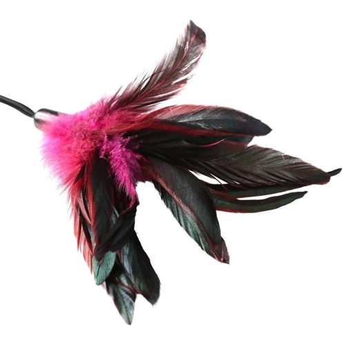 Мітелочкою Sportsheets - PLEASURE FEATHER ROSE: Колір рожевий