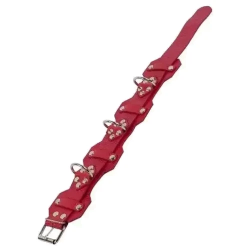 Ошейник VIP Leather Collar, Red: Цвет красный