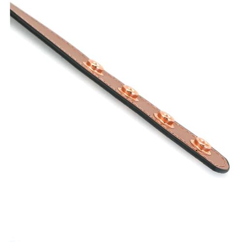 Ошейник с зажимами для сосков Liebe Seele Rose Gold Memory Collar with Nipple Clamps: Цвет розовый