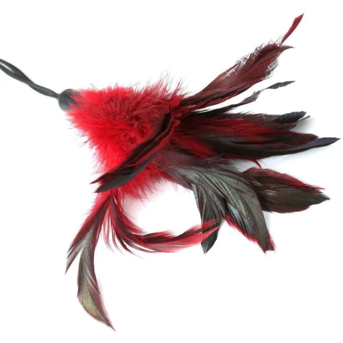 Метелочка Sportsheets - PLEASURE FEATHER RED: Цвет красный