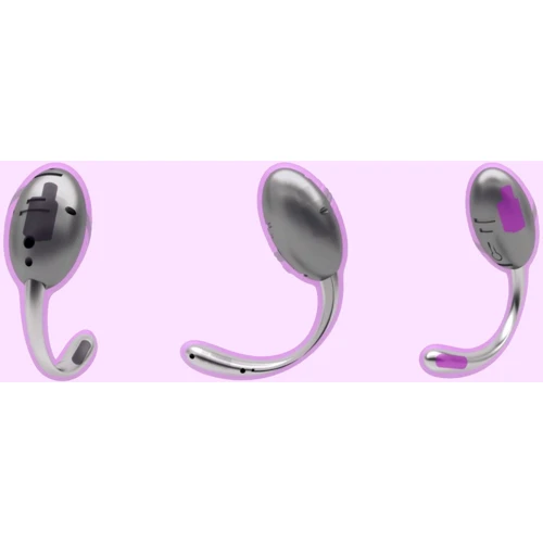 Виброяйцо со стимулятором клитора Adrien Lastic Smart Dream II с пультом LRS: Тип управления На дистанционном управлении