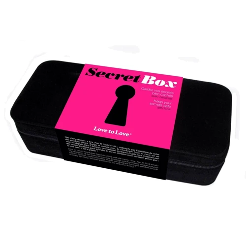 Бокс для хранения секс-игрушек Love To Love Secret Box V2, с кодовым замком фото 3