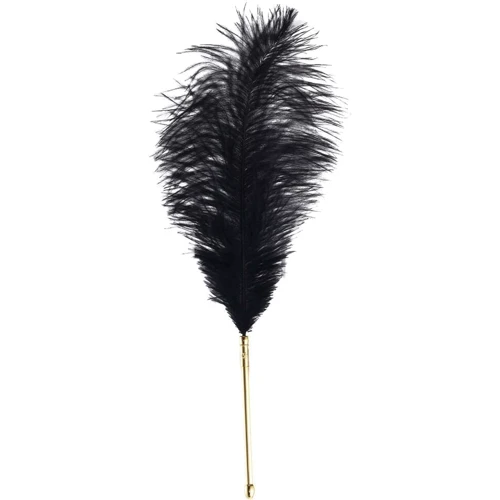 Набор перышек для ласк LOCKINK Sevanda Natural Peacock Flirting Feather Tickler фото 5