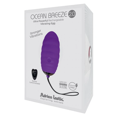Віброяйце Adrien Lastic Ocean Breeze 2.0 Purple: Призначення Вагінальні