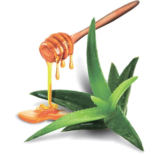 Інтимний лубрикант для масажу Dolphi Aloe Vera 200мл: Основа Водная