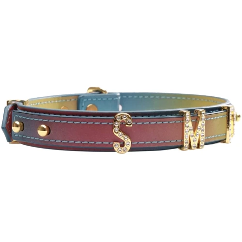 Нашийник LOCKINK Multi-color DIY Alphabet Collar: Колір разноцветный