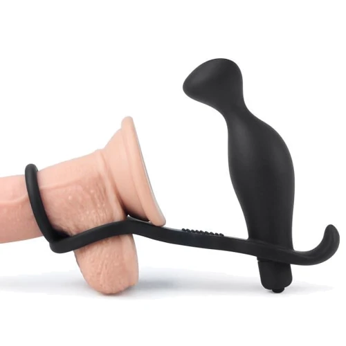 Анальна пробка з ерекційним кільцем та вібрацією LoveToy Ass Rasca Prostate Vibrating Plug Combo: Тип Анальные пробки