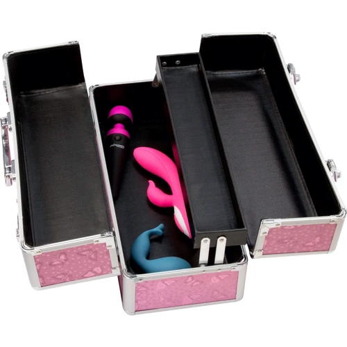 Кейс для зберігання секс-іграшок BMS Factory PowerBullet - Large Lokable Vibrator Case Pink фото 1