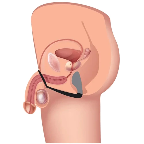 Стимулятор простати Prostatic Play Explorer II Prostate Stimulator And Cock Ring (чорний): Наявність вібрації  Есть