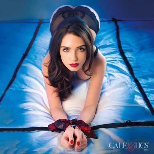 Фиксаторы на кровать Scandal 8 Points of Love Bed Restraint: Цвет черный