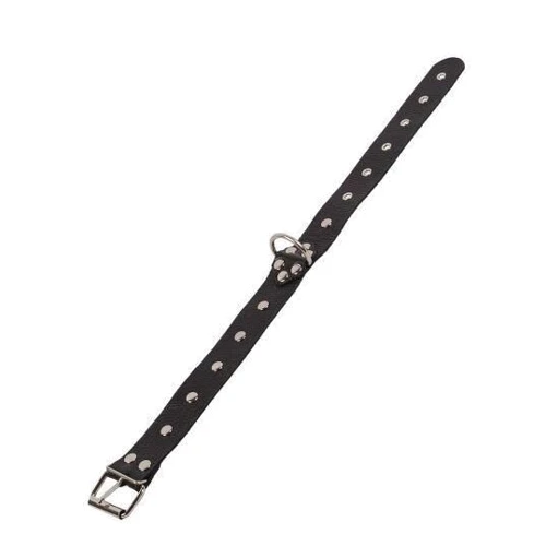 Ошейник Dominant Collar, black: Цвет черный