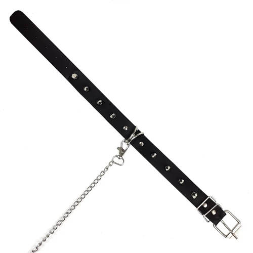 Ошейник с шипами и поводком Art of Sex - Collar Spikes and Leash фото 6