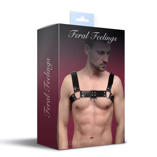 Чоловічі портупеї з натуральної шкіри Feral Feelings - Bulldog Harness Black: Вид Портупеї