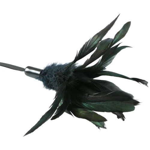 Мітелочкою Sportsheets - PLEASURE FEATHER BLACK: Колір чорний