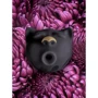 Вакуумный стимулятор клитора Gvibe Gcat Black: Для кого Для женщин