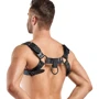 Портупея Bedroom Fantasies Bruno Chest Bulldog Harness - Black: Материал Эко-кожа