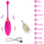 Віброяйце з пультом NDS B21-2 Pink (23748): Тип і форма Виброяйцо