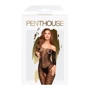 Бодистокинг с рукавами Penthouse DREAMY DIVA (черный, XL) Размер xl: Применение На тело