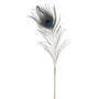 Набор перышек для ласк LOCKINK Sevanda Natural Peacock Flirting Feather Tickler фото 4