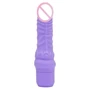 Реалистичный вибратор с венами Scala - Mini Classic G-spot Vibrator (пурпурный): Для кого Для женщин