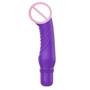 ToyJoy Delight Mini Vibe - вибромассажер, 2.8x19 см: Назначение Вагинальные