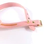 Ошейник с поводком LOCKINK Sevanda Love Heart Butterfly Leather Collar Set - Pink: Для кого Унисекс