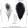 Набор перышек для ласк LOCKINK Sevanda Natural Peacock Flirting Feather Tickler: Производитель LOCKINK