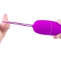 Віброяйце Pretty Love Selkie Purple (BI-014865W): Тип управління На дистанционном управлении