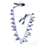 Зажимы для сосков BOSS of TOYS Fetish Boss Series - №2 Exclusive Nipple Clamps (BS6100010): Цвет серебристый