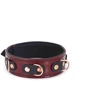 Ошейник с поводком Liebe Seele Wine Red Collar and Leash: Цвет бордовый