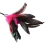 Мітелочкою Sportsheets - PLEASURE FEATHER ROSE: Колір рожевий