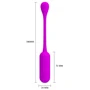 Віброяйце Pretty Love Lechies Wireless Egg Purple: Тип управління На дистанционном управлении
