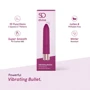 Вибропуля So Divine Afternoon Delight: Тип управления Кнопочное