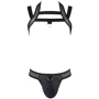 Соблазнительный комплект Passion 043 SET JACOB black XXL/XXXL: Вид Комплекты