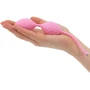 Frisky Pleasure Balls Set - комплект вагинальных шариков: Материал Силикон