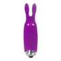 Мінівібратор Adrien Lastic Pocket Vibe Rabbit Purple: Призначення Кліторальні