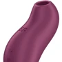 Вакуумний кліторальний стимулятор із вібрацією Satisfyer Pocket Pro 1 Purple: Тип управління кнопкове