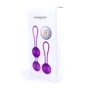 Набор вагинальных шариков с вибрацией и пультом ДУ FOX - Vibrating Silicone Kegel Balls Set USB фото 6